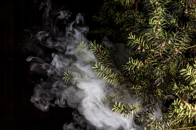 e-liquid