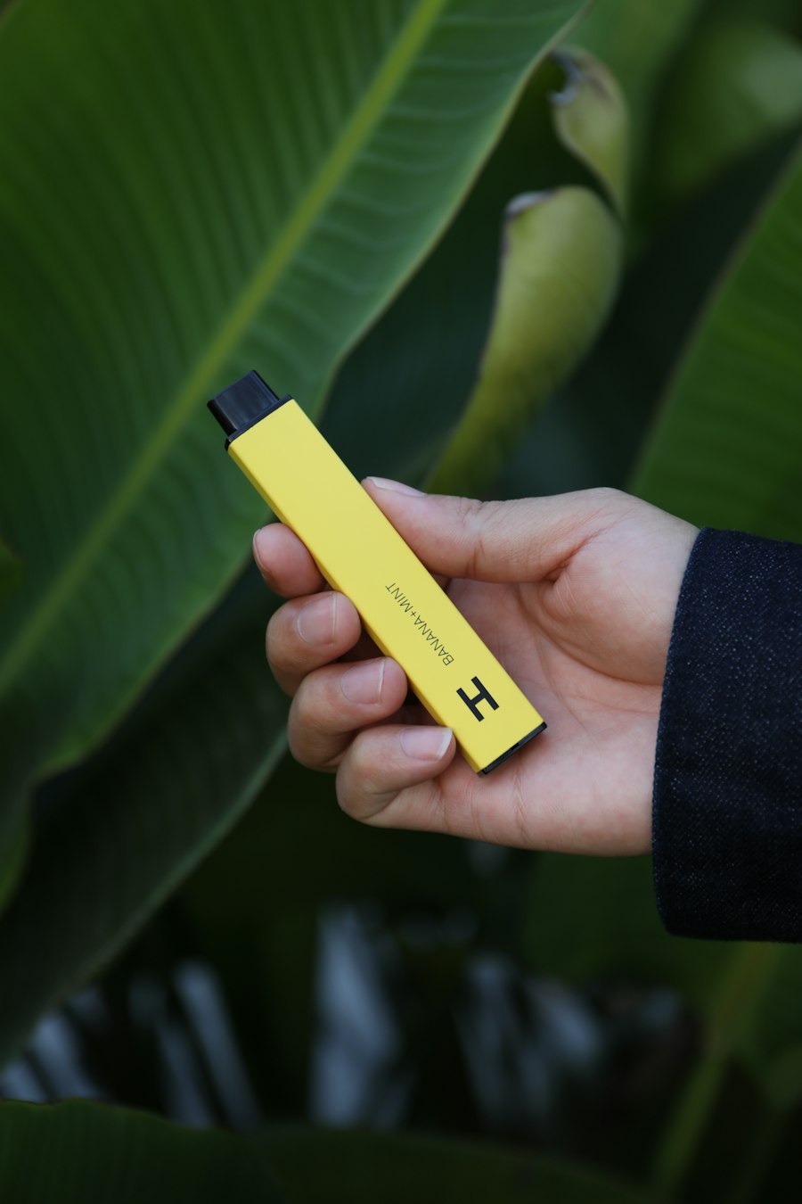 vape charger